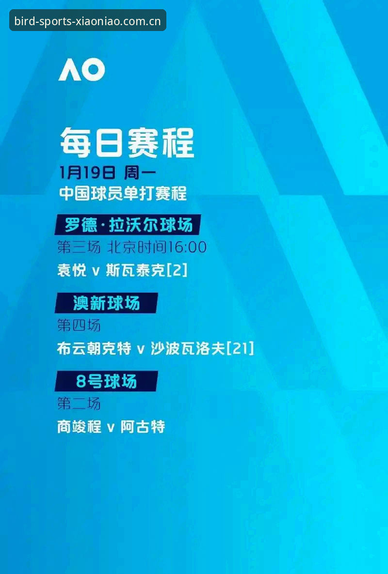 小鸟体育全球赛事深度解析：从新手到老手的完整使用攻略